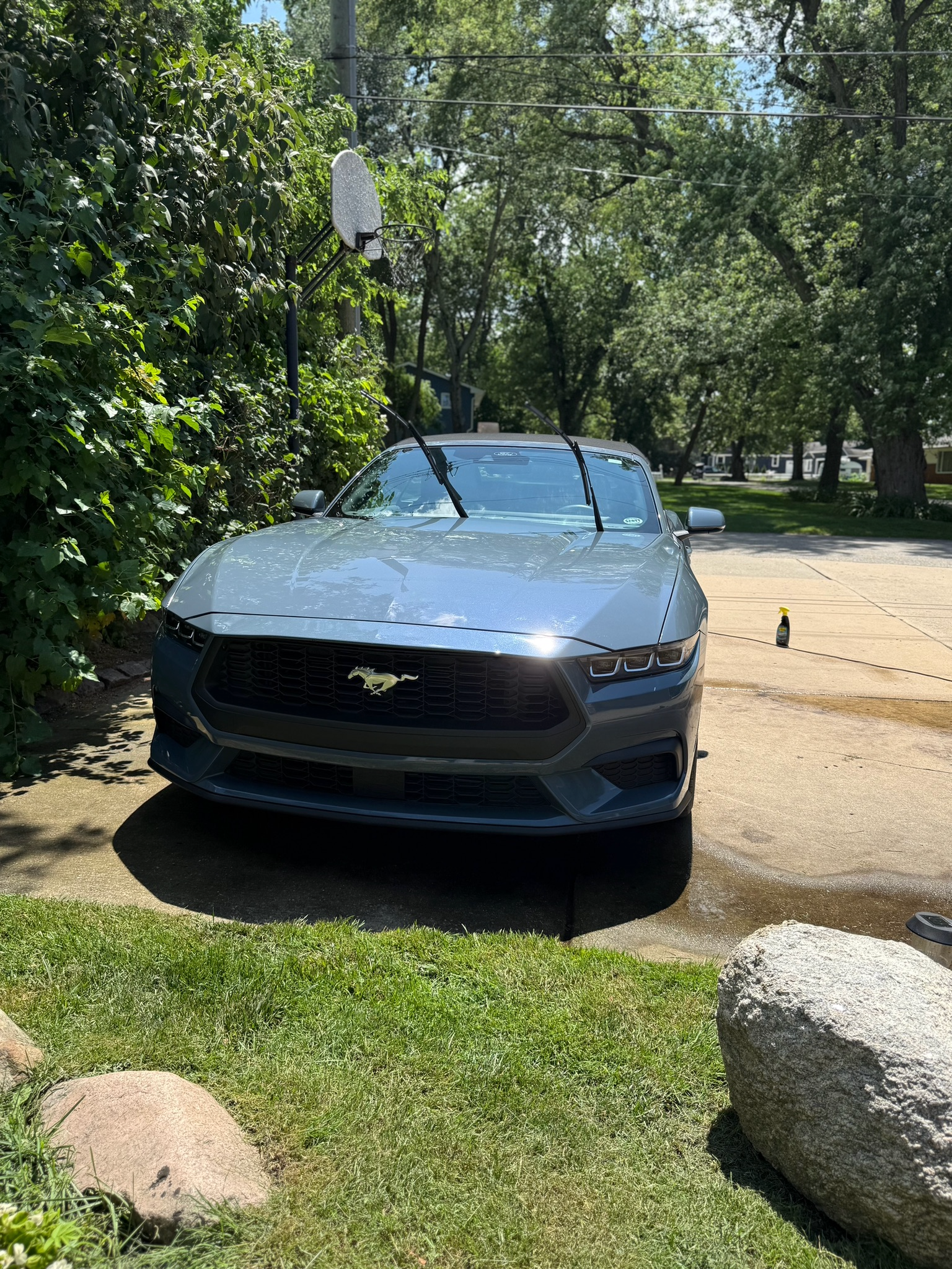 Glossy finish on a freshly detailed vehicle in Michigan